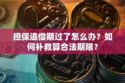 北京担保追偿期过了怎么办？如何补救算合法期限？