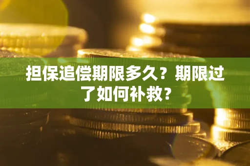 北京担保追偿期限多久？期限过了如何补救？