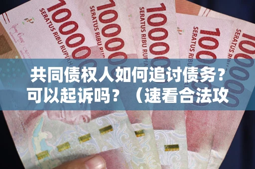 北京共同债权人如何追讨债务？可以起诉吗？（速看合法攻略）