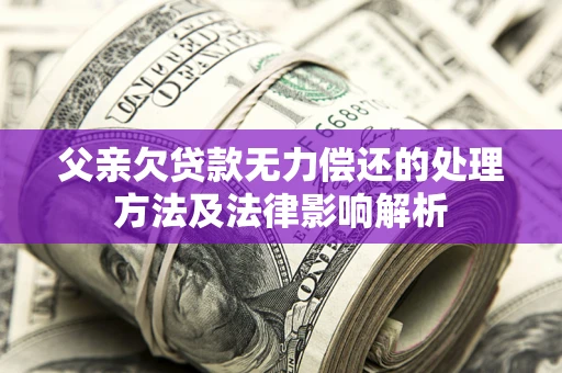 北京父亲欠贷款无力偿还的处理方法及法律影响解析